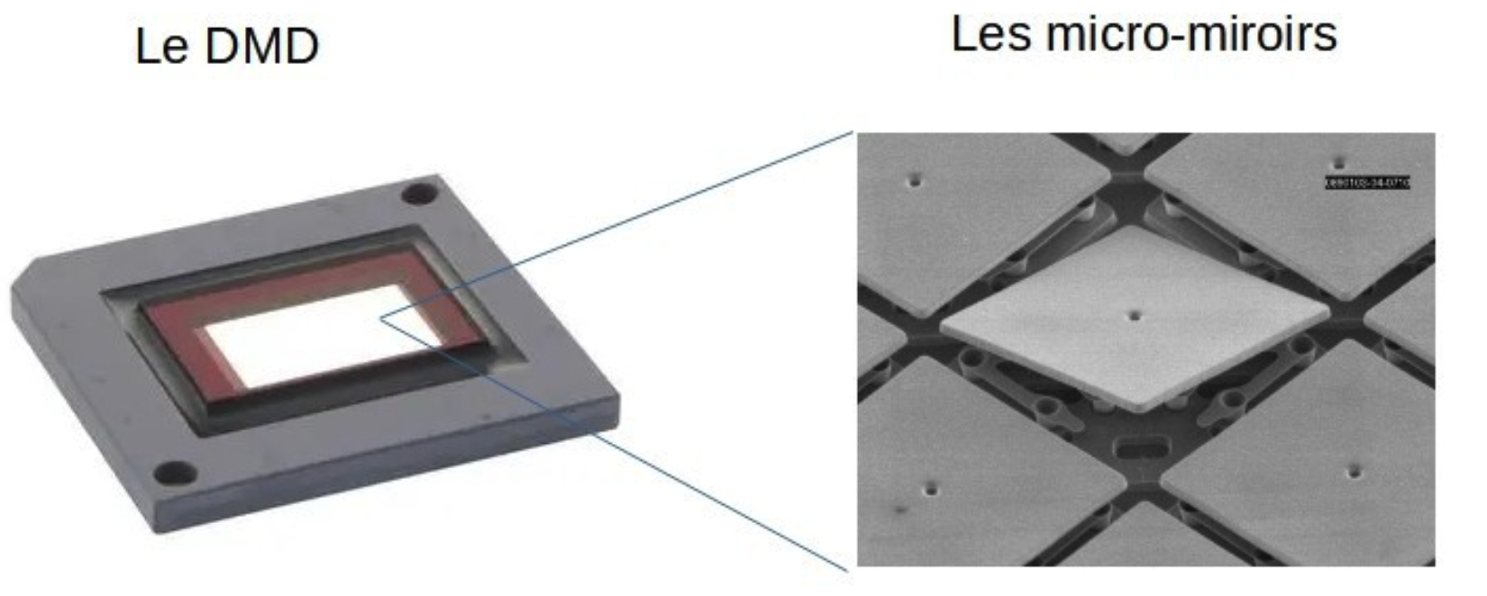 digital micromirrors dmd schémas evosens